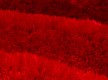 Высоковорсный ковер Lalee Olimp 551 Red - высокое качество по лучшей цене в Украине - изображение 2
